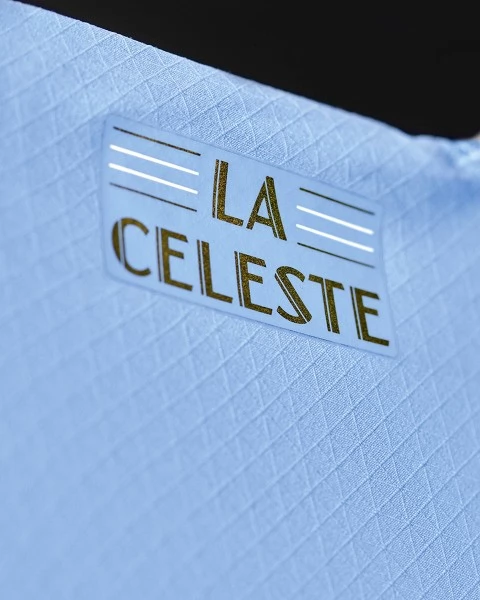 WK 2022 Uruguay Voetbaltenue D.Nunez 11 Thuisshirt